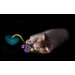 Quiet Glow Moth Cat Toy