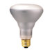 50W Incandescent BR30 Indoor Reflector Flood Light Bulb in Clear