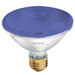 75W PAR30 Halogen Bulb in Blue