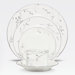 Birchwood 5 Piece Place Setting with Box