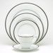 Regina Platinum 20 Piece Dinnerware Set