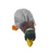 Migrators Mallard Plush Toy