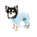 Tux Dog Jumper in Blue