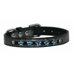 Platinum Star Dog Collar