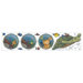 Undersea Free Style Peel and Stick Wall Decal in Blue / Green