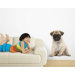 Good Dog Wall Decal