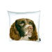 English Springer Spaniel Pillow