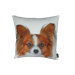 Papillion Pillow