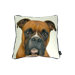 Boxer Pillow