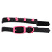 Genuine Leather Cat and Puppy Collar with Spikes
