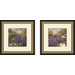 Serentiy Framed Art (Set of 2)