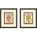 Kitchen Sunrise Brand Framed Art