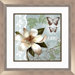 Our Botanical Garden Framed Wall Art (Set of 2)