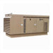 Packaged Standby Series 60 Kilowatt 1-Phase Double Fuel Generator