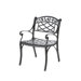Sedona Dining Arm Chair