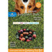 Every Flavor Dog Treat