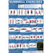 Dumbbell Poster - Upper Body