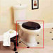 Archive Elongated Toilet Bowl Only