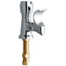 Drinking Fountain Faucet with Metal Projector Head in Polished Chrome