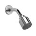 Borma Multifunction Shower Head with Arm and Flange