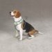 Reflective Mesh Dog Harness