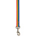 Puppy Pride Dog Leads