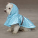 Polka Dot Dog Rain Jacket