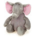 Wild Heart Dog Toy