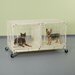 Great OutDogs Windsor Complete and 1 Windsor Sized Dog Kennel Frame Section Custom 1-2-4 / 1-3-6 Number: 2 Gates dog kennel