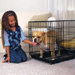 Everlasting Single-Door Folding Crate in Black