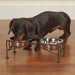 Classic Dog Diners