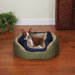 Cozy Clamshell Bed