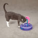 Bright Delight Cat Toy