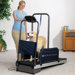 Pet Treadmill