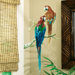 Parrots Wallpaper Mural