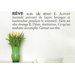 Blabla R&ecirc;ve (French) Wall Decal