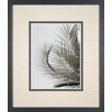Palm Leaf 3 Framed Print