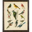 Aviary 2 on Canvas Framed Print