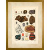Minerals 4 - Large Framed Print