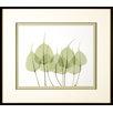 Woodlands 1 Framed Print