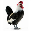 Rooster Stuffed Animal