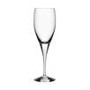 Intermezzo Satin White Wine Glass