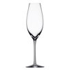 Difference 10" Sparkling Wine Glass