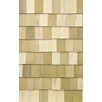 Rectangular Shingles (1000 pc)