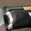 Amuse Double Sham in Earth and Surf