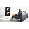 Sly Deluxe Futon Sofa