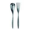 Accessories Pastina Stainless Steel 2 Piece Salad Set