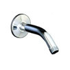 Shower Arm and Flange