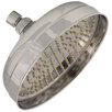 Showerhead with 0.5" Female IPS Connection