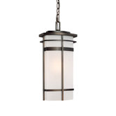 Lakeshore One Light Outdoor Hanging Lantern in Old Bronze